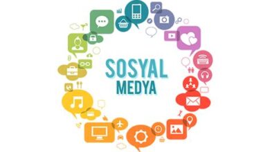 Finike Sosyal Medya Yönetimi
