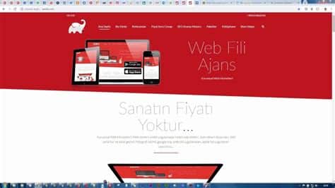 Alanya Web Tasarım