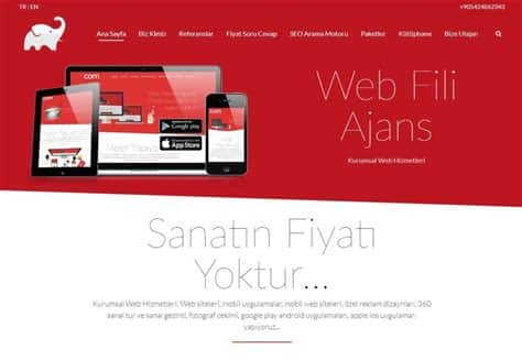 Alanya Web Tasarım