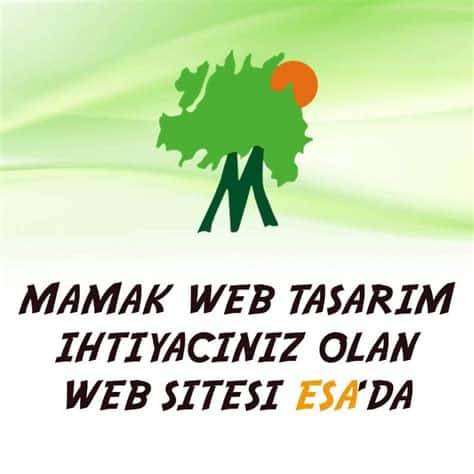 Ankara Mamak Web Tasarım