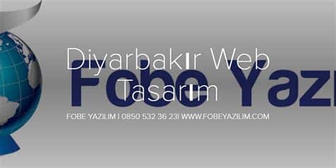 Diyarbakır Çınar Web Tasarım