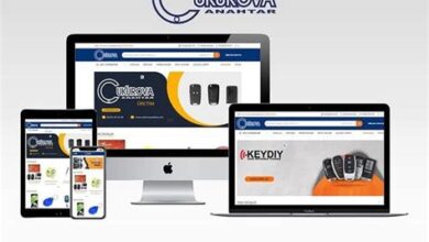 Adana Çukurova Web Tasarım