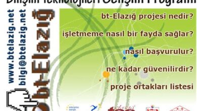 Elazığ Karakoçan Web Tasarım